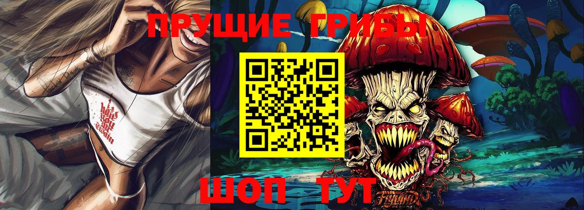 Галлюциногенные грибы Psilocybe Богородск