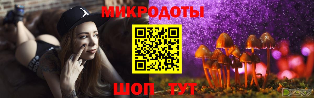 Богородск  Псилоцибиновые грибы Psilocybe  Вход с VPN 